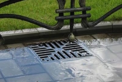 Дренаж участка своими руками: точечный водосборник