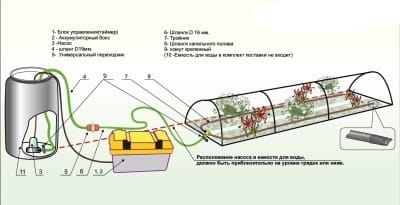 Дождевание