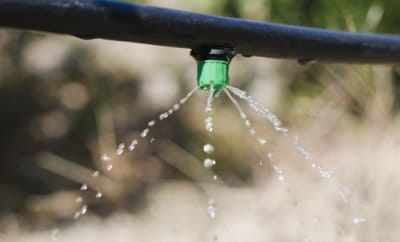 Капельный полив