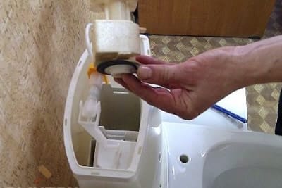 Мембрана сифона