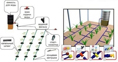 Капельный полив