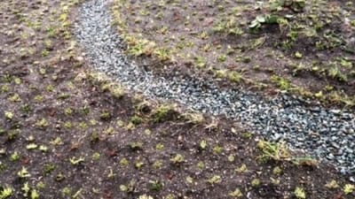 Дренаж участка своими руками: щебневая отсыпка