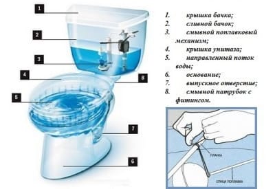 Все унитазы состоят из чаши и ёмкости с водой Все унитазы состоят из чаши и ёмкости с водой