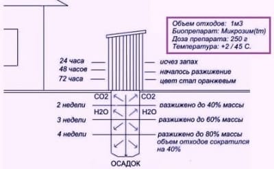 Схема очистки выгребной ямы биопрепаратами