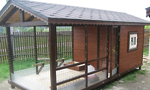 Интересный образец курятника