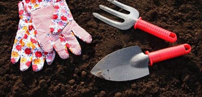 Как сажать газонную траву