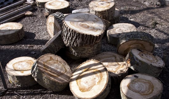 Напиленный ствол дерева для садовой дорожки