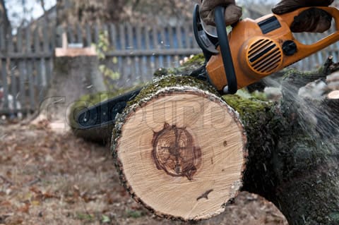 Нарезаем деревянные спилы с помощью бензопилы