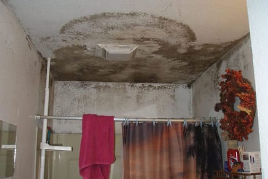 Образец плесени в ванной комнате