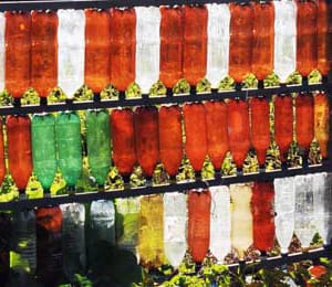 Образец забора из бутылок