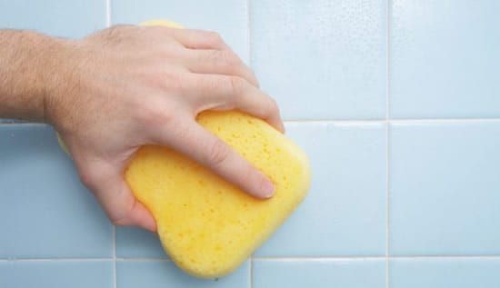 Плесень смывают губкой с помощью хлорки и теплой воды