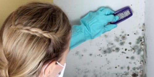 Процесс удаления грибка и плесени щеткой