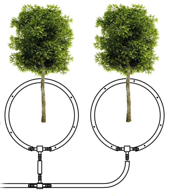 Расположение капульной линии при поливке деревьев