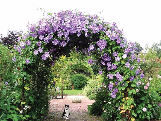 Садовая арка своими руками