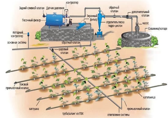 Система для поливки огорода