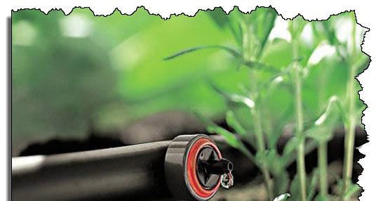 Система капельного полива своими руками