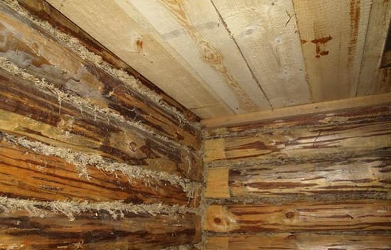 Укладка досок на потолок