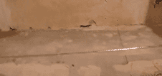 Устанавливаем маяки