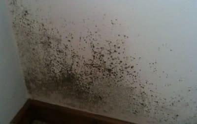 Большой очаг