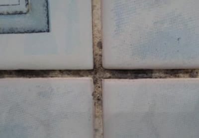 Плесень в ванной