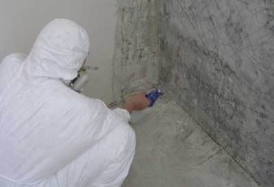 Уничтожение плесени